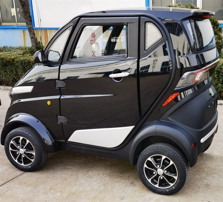 COC Mini Smart Electric Vehicle For The Old