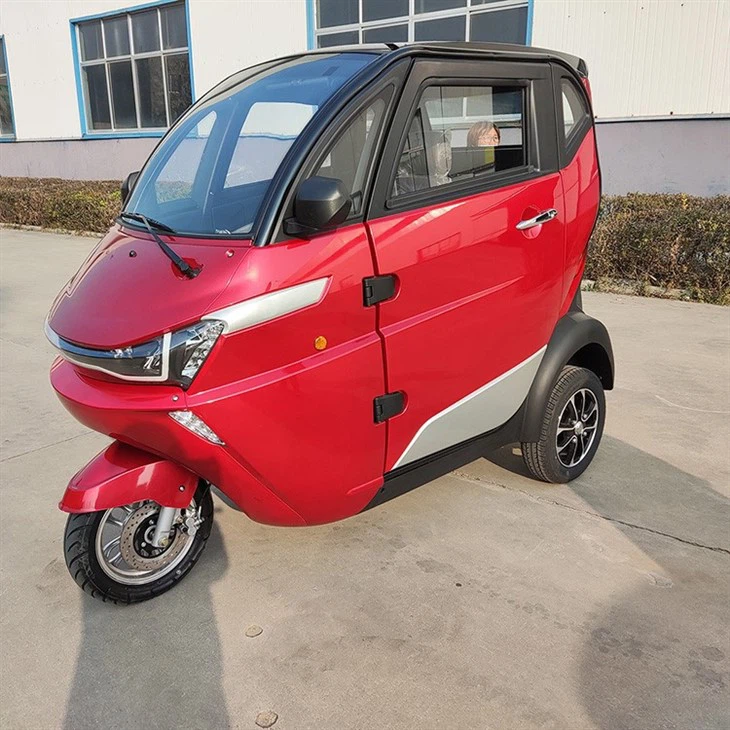 EEC 3-Wheeler Electric Mini Car, Mobility Motorcycle Tricycle