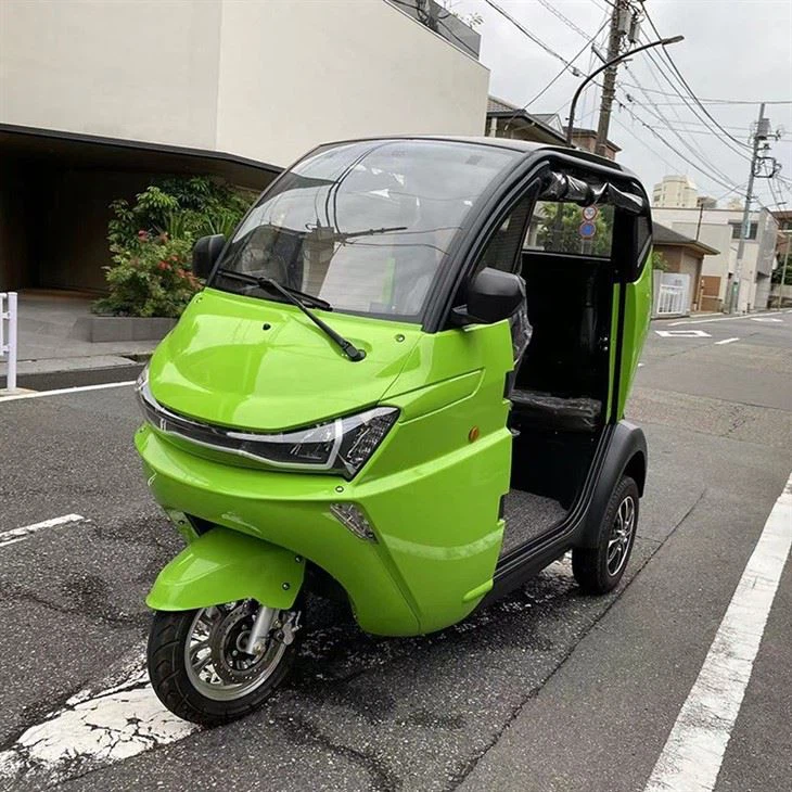 EEC 3-Wheeler Electric Mini Car, Mobility Motorcycle Tricycle